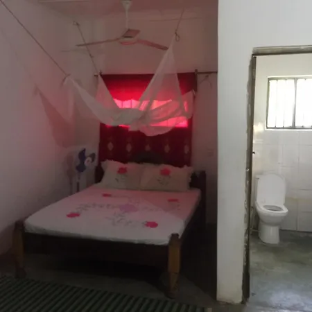 Bed and breakfast Simon House